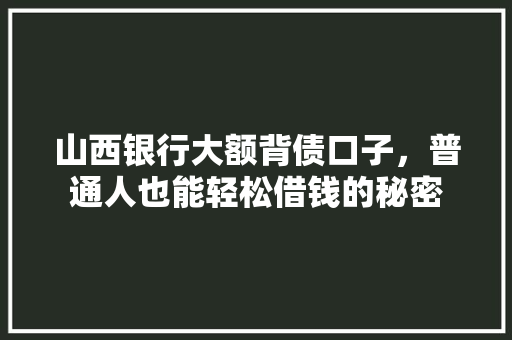 山西银行大额背债口子，普通人也能轻松借钱的秘密