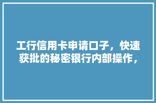 工行信用卡申请口子，快速获批的秘密银行内部操作，让你轻松成为信用卡达人