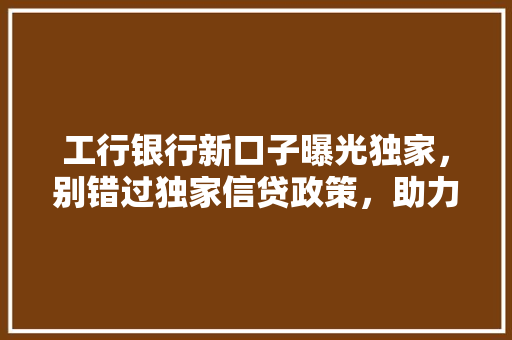 工行银行新口子曝光独家，别错过独家信贷政策，助力您的财富增长
