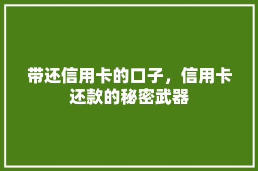 带还信用卡的口子，信用卡还款的秘密武器