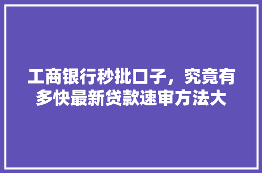 工商银行秒批口子，究竟有多快最新贷款速审方法大