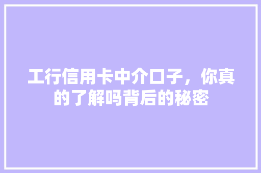 工行信用卡中介口子，你真的了解吗背后的秘密