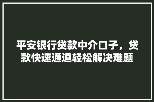 平安银行贷款中介口子，贷款快速通道轻松解决难题
