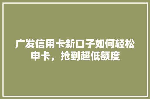 广发信用卡新口子如何轻松申卡，抢到超低额度