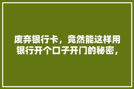 废弃银行卡，竟然能这样用银行开个口子开门的秘密，你绝对想不到...