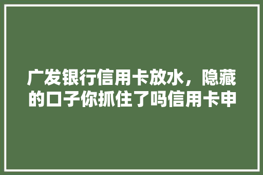广发银行信用卡放水，隐藏的口子你抓住了吗信用卡申请方法与风险规避