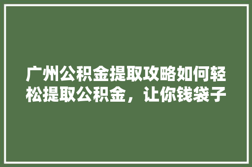 广州公积金提取攻略如何轻松提取公积金，让你钱袋子鼓起来