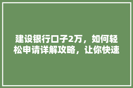 建设银行口子2万，如何轻松申请详解攻略，让你快速拿到贷款