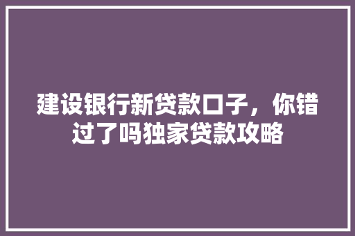 建设银行新贷款口子，你错过了吗独家贷款攻略