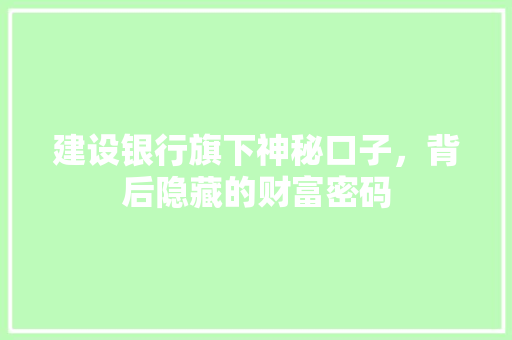 建设银行旗下神秘口子，背后隐藏的财富密码