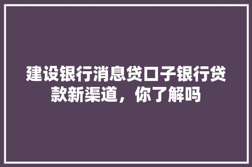 建设银行消息贷口子银行贷款新渠道，你了解吗