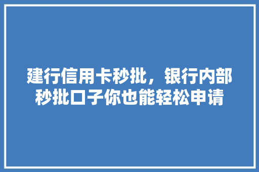 建行信用卡秒批，银行内部秒批口子你也能轻松申请
