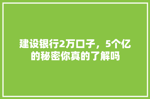 建设银行2万口子，5个亿的秘密你真的了解吗