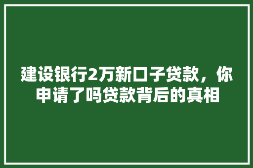 建设银行2万新口子贷款，你申请了吗贷款背后的真相