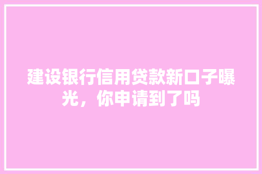 建设银行信用贷款新口子曝光，你申请到了吗