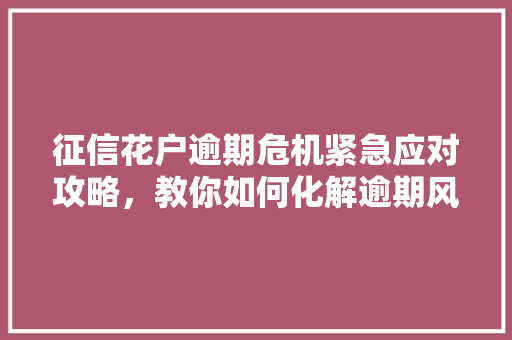 征信花户逾期危机紧急应对攻略，教你如何化解逾期风险
