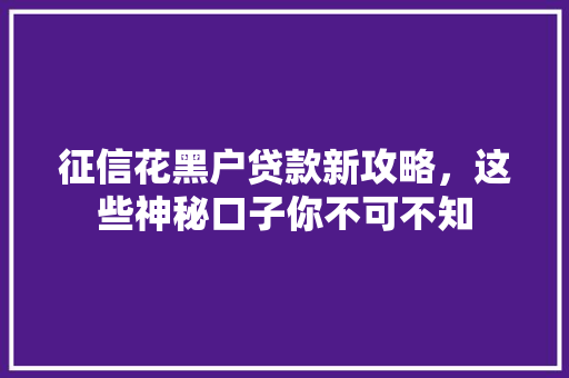 征信花黑户贷款新攻略，这些神秘口子你不可不知