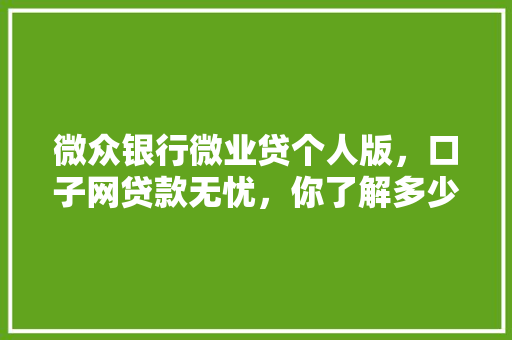 微众银行微业贷个人版，口子网贷款无忧，你了解多少