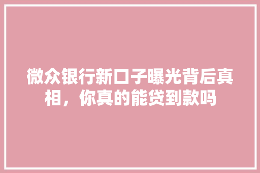 微众银行新口子曝光背后真相，你真的能贷到款吗