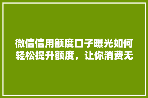 微信信用额度口子曝光如何轻松提升额度，让你消费无忧