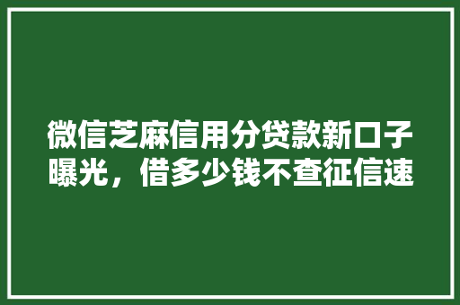微信芝麻信用分贷款新口子曝光，借多少钱不查征信速看