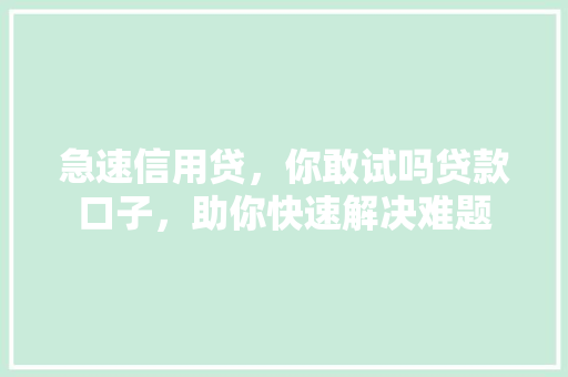 急速信用贷，你敢试吗贷款口子，助你快速解决难题
