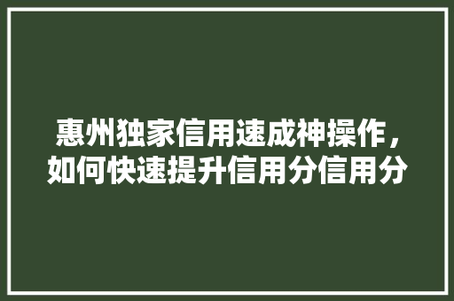 惠州独家信用速成神操作，如何快速提升信用分信用分提升的方法