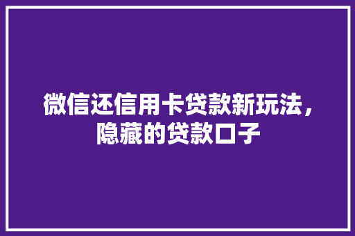 微信还信用卡贷款新玩法，隐藏的贷款口子