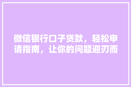 微信银行口子贷款，轻松申请指南，让你的问题迎刃而解