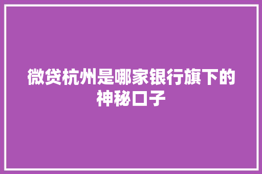 微贷杭州是哪家银行旗下的神秘口子
