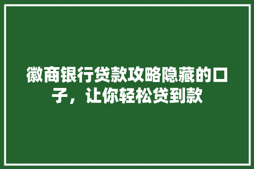 徽商银行贷款攻略隐藏的口子，让你轻松贷到款