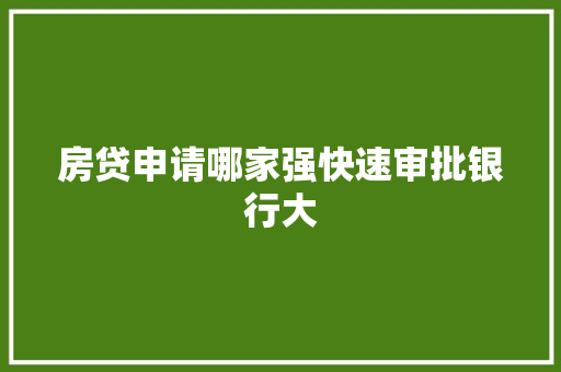 房贷申请哪家强快速审批银行大