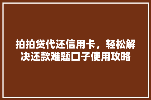 拍拍贷代还信用卡，轻松解决还款难题口子使用攻略  第1张
