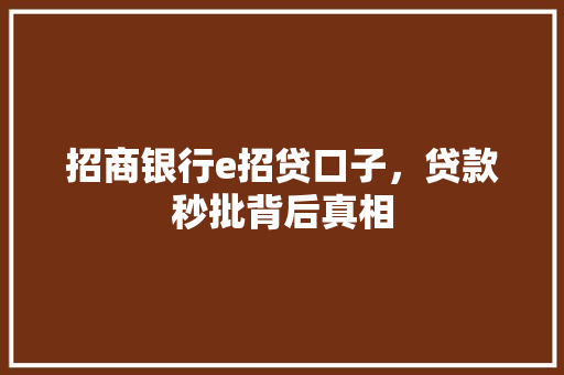 招商银行e招贷口子，贷款秒批背后真相