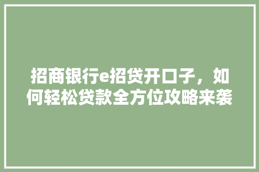 招商银行e招贷开口子，如何轻松贷款全方位攻略来袭  第1张