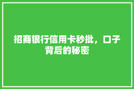 招商银行信用卡秒批，口子背后的秘密