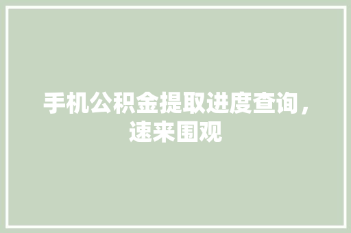 手机公积金提取进度查询，速来围观