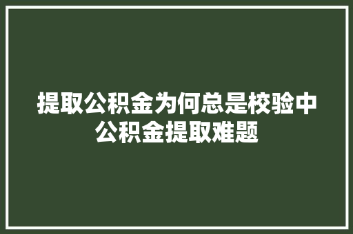 提取公积金为何总是校验中公积金提取难题