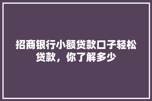 招商银行小额贷款口子轻松贷款，你了解多少