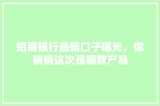 招商银行最新口子曝光，你猜猜这次是哪款产品