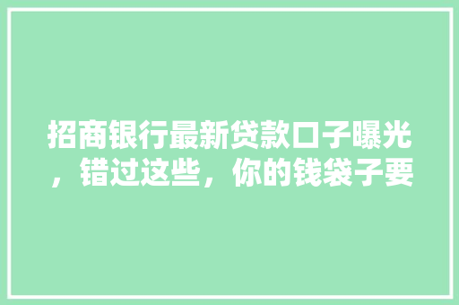 招商银行最新贷款口子曝光，错过这些，你的钱袋子要瘪了