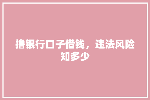 撸银行口子借钱，违法风险知多少