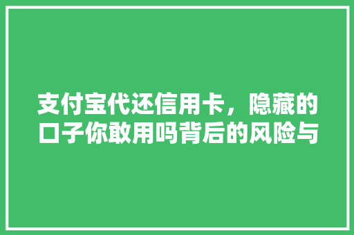 支付宝代还信用卡，隐藏的口子你敢用吗背后的风险与隐患