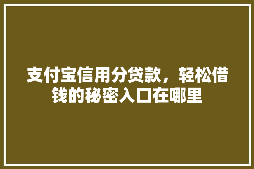 支付宝信用分贷款，轻松借钱的秘密入口在哪里