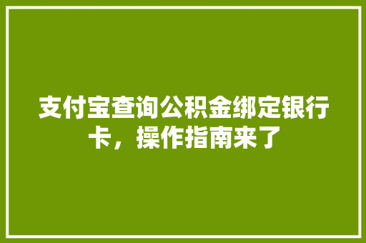 支付宝查询公积金绑定银行卡，操作指南来了