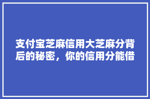支付宝芝麻信用大芝麻分背后的秘密，你的信用分能借多少钱