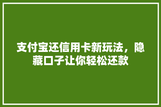 支付宝还信用卡新玩法，隐藏口子让你轻松还款