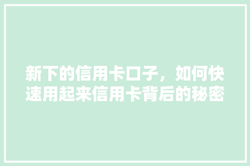 新下的信用卡口子，如何快速用起来信用卡背后的秘密