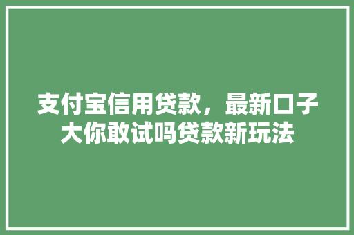 支付宝信用贷款，最新口子大你敢试吗贷款新玩法