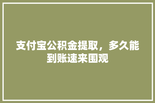 支付宝公积金提取，多久能到账速来围观